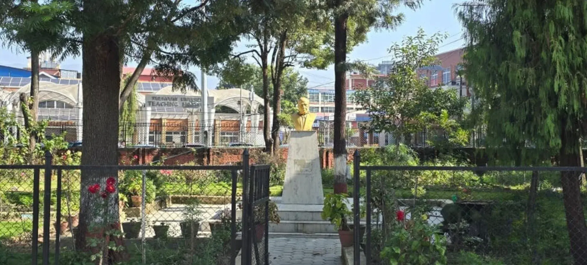 Institute of Medicine