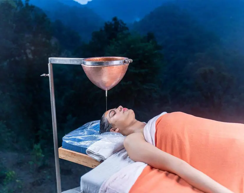 Ayurveda Programs